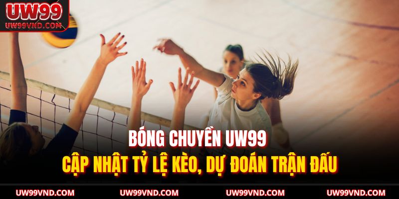 Bóng Chuyền UW99 – Cập Nhật Tỷ Lệ Kèo, Dự Đoán Trận Đấu 7 Bóng Chuyền