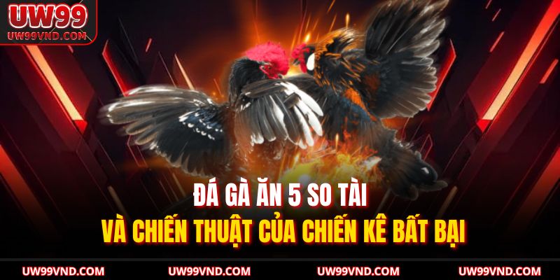 Đá Gà Ăn 5 Đá Gà Ăn 5