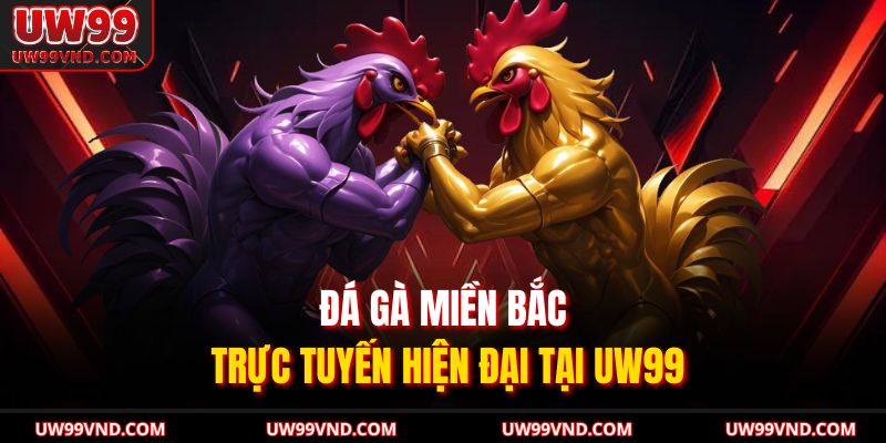 Đá Gà Miền Bắc Khám Phá Toàn Diện Luật Lệ Tại UW99 3 Đá gà miền Bắc trực tuyến hiện đại tại UW99