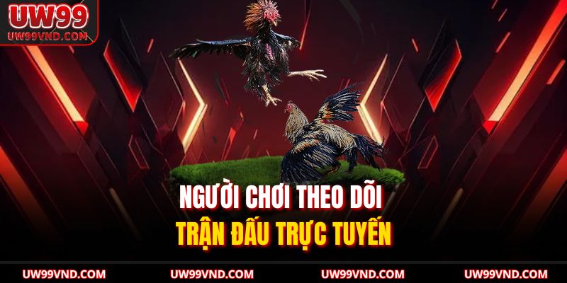 Đá Gà Miền Bắc Khám Phá Toàn Diện Luật Lệ Tại UW99 4 Người chơi theo dõi trận đấu trực tuyến