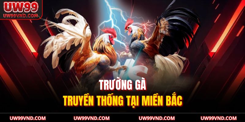 Đá Gà Miền Bắc Khám Phá Toàn Diện Luật Lệ Tại UW99 2 Trường gà truyền thống tại miền Bắc